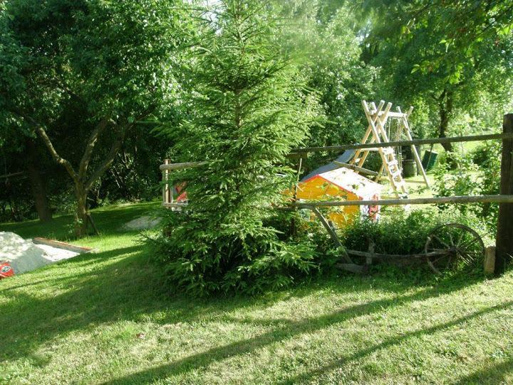 Ferienwohnung U Kohouta Podkost Exterior foto